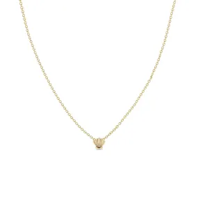 14k Itty Bitty Seashell Necklace