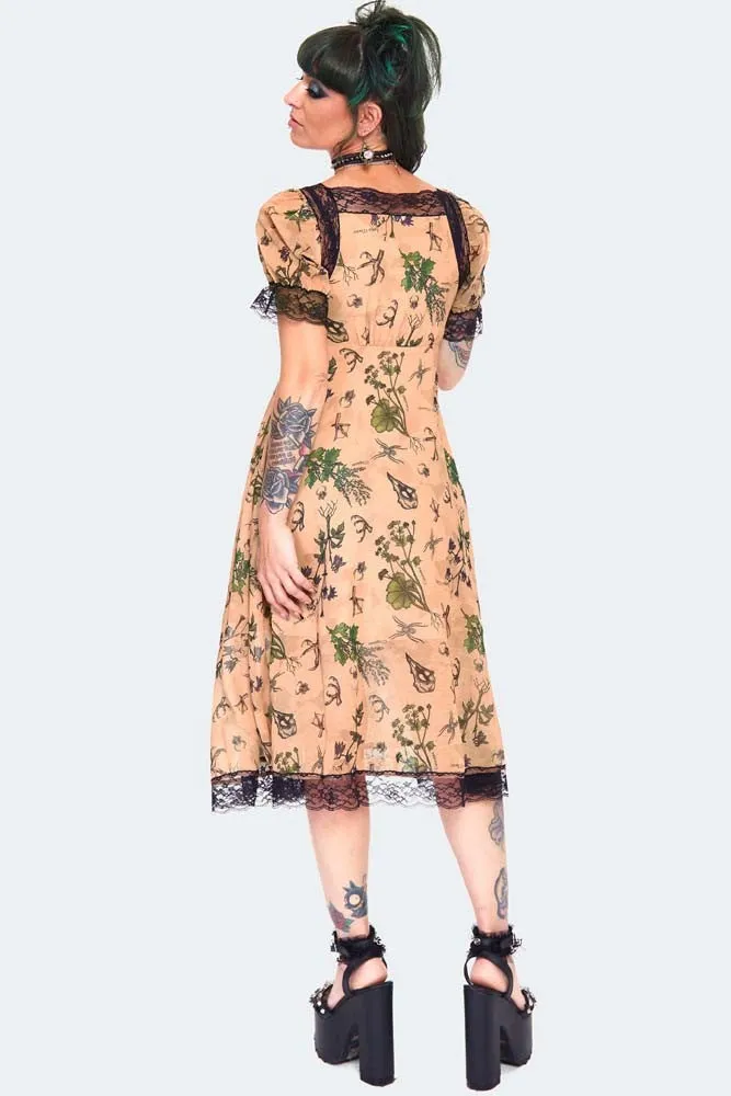 Apothecary Print Midi Dress