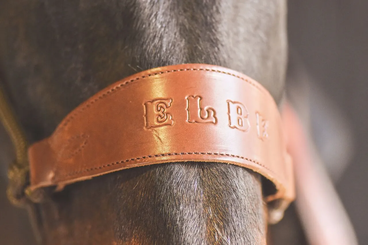 Drovers Saddlery Made Rope Halter with Stamped Leather Nose