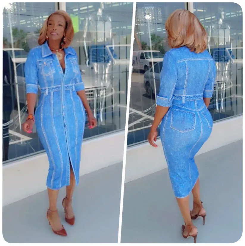 Fitted Denim Dress (Blue)