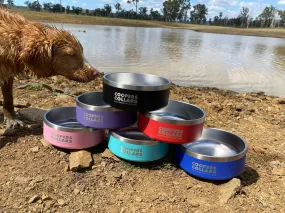 Small Dog Bowl Blue