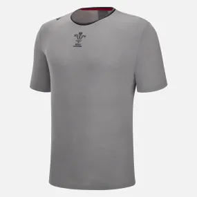 Wales Rugby Travel T-Shirt 22/23 - Grey